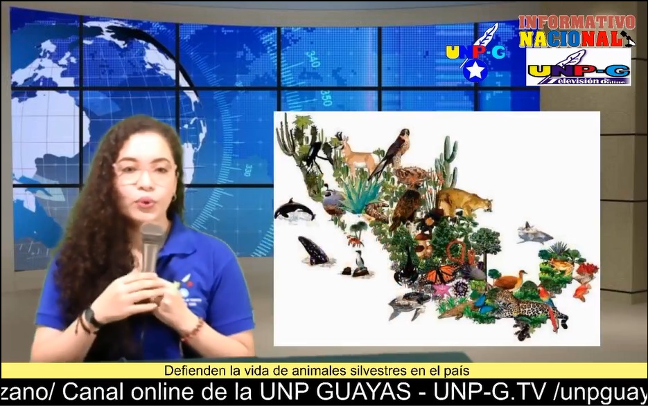 CAPTURA INFORMATIVO NACIONAL 10.01.2022 Kelly Alvear 1