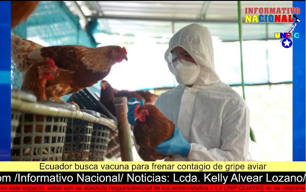 Captura-de-pantalla-2023-01-25-163030