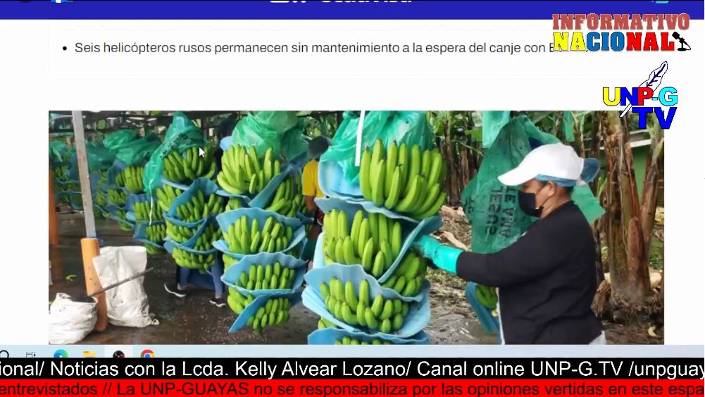 Captura-1