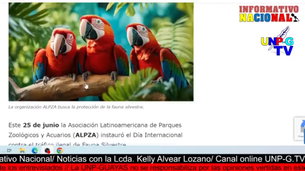 Captura-de-pantalla-2024-06-26-103101