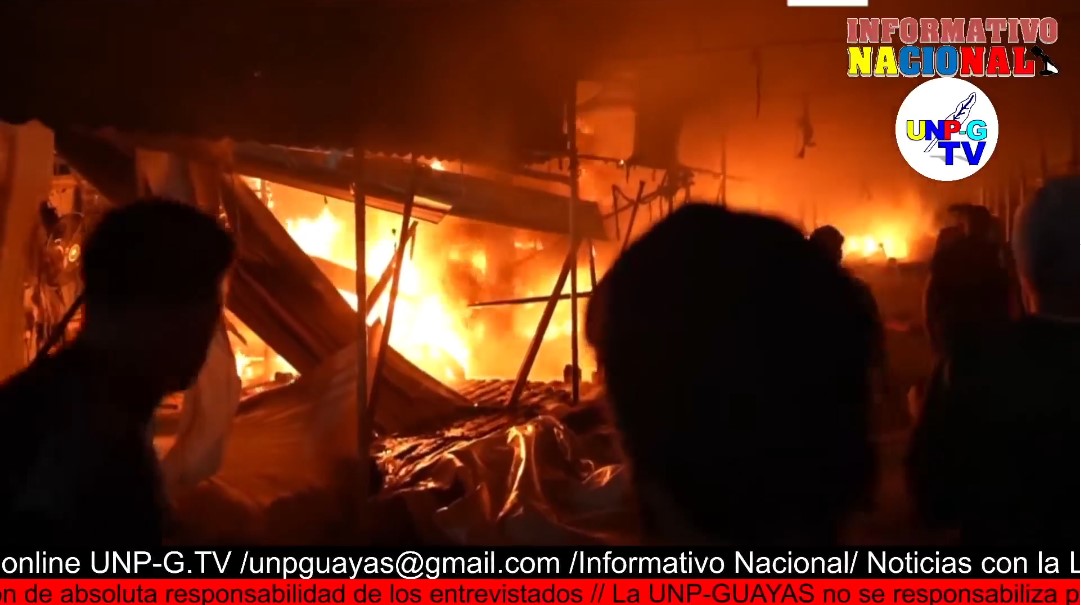 Captura-de-pantalla-2024-10-15-095505