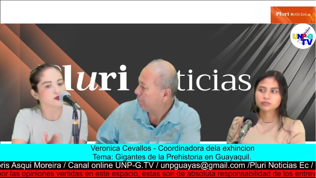 Captura de pantalla 2025-05-15 160728