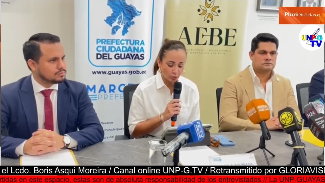Captura de pantalla 2025-07-23 142138