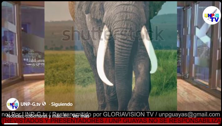 Captura